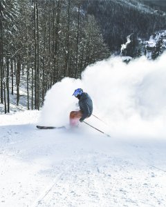 Alpine skis - SPORT